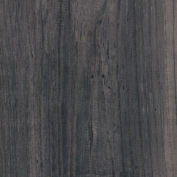 Signature Woods - 1,0 mm | Lunar Pine | Synthetic panels | Amtico