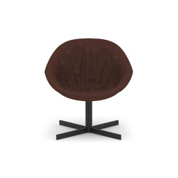 Lily Compact | Chairs | Modus