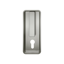 FSB 42 4261 Flush pulls | Sliding door fittings | FSB