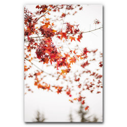 Sound Absorbing Acoustic Frame Motif Red Leaves on White | Sound absorbing objects | Akustikbild-Manufaktur