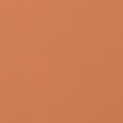 Allante | Butterscotch |  | Morbern Europe