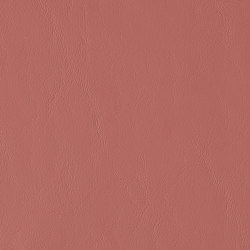 Allante | Cinnamon |  | Morbern Europe