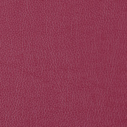 Prodigy | Crimson | Upholstery fabrics | Morbern Europe