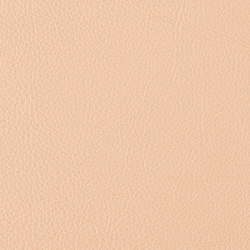 Prodigy | Maple | Upholstery fabrics | Morbern Europe