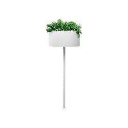 Green Cloud Peg | Plant pots | Systemtronic