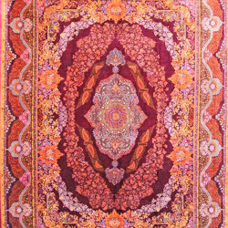 Stop Motion | Rugs | Knotique