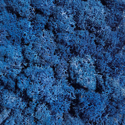 Islandmoos blau | Wall decoration | StoneslikeStones