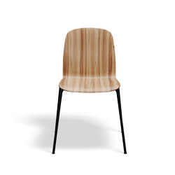 Boston Chair - Elm/Black | Chairs | Askman Design