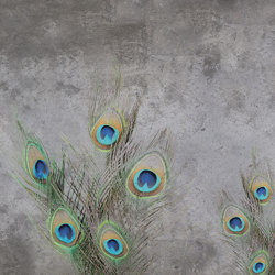 Peacock | Wall coverings / wallpapers | WallyArt