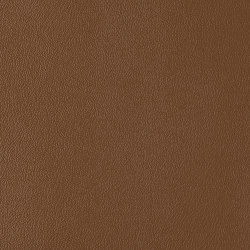 Ambience | Toffee | Faux leather | Morbern Europe