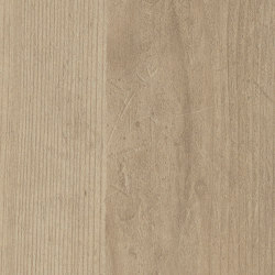 Sand Pine | Wood panels | Pfleiderer