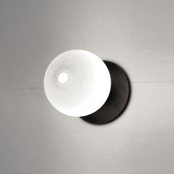 Stem Sconce/Ceiling 1X | Lámparas de pared | SkLO