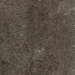 Sensi | Brown fossil | Ceramic tiles | FLORIM