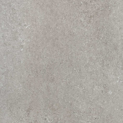 Sensi | Grey fossil | Ceramic tiles | FLORIM