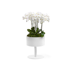 Council | Plant pots | Bloss