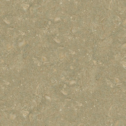 Green Marble | Fossil Green | Natural stone tiles | Mondo Marmo Design