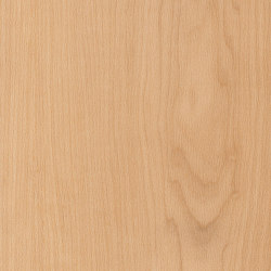 Spacia Woods - 0,55 mm | Warm Maple | Synthetic panels | Amtico