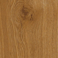 Spacia Woods - 0,55 mm | Traditional Oak