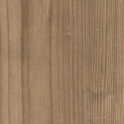 Spacia Woods - 0,55 mm | Dry Cedar