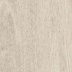 Spacia Woods - 0,55 mm | White Oak | Vinyl flooring | Amtico