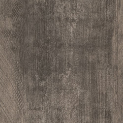 Spacia Woods - 0,55 mm | Smoked Timber |  | Amtico