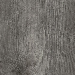 Spacia Woods - 0,55 mm | Drift Pine |  | Amtico