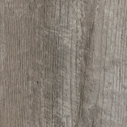 Spacia Woods - 0,55 mm | Coastal Pine | Synthetic panels | Amtico