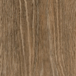 Spacia Woods - 0,55 mm | Noble Oak | Vinyl flooring | Amtico