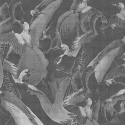 Birds Of Paradise | Wall coverings / wallpapers | LONDONART
