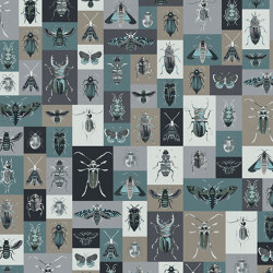 Bugs | Wall coverings / wallpapers | WallPepper