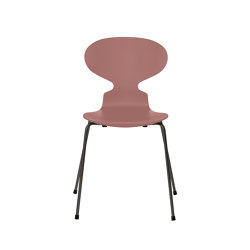 Ant™ | Chair | 3101 | Wild rose lacquered | Warm graphite base | Sillas | Fritz Hansen
