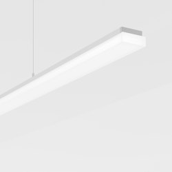 Purelite Slim | Suspended lights | Regent Lighting
