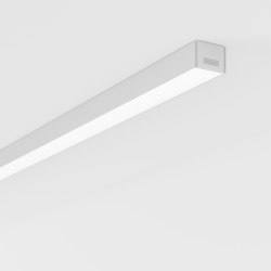 Purelite Slim D | Ceiling lights | Regent Lighting