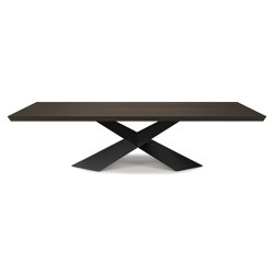 Tyron Wood | Tabletop rectangular | Cattelan Italia