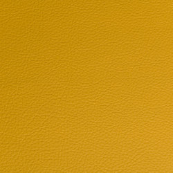 Prodigy | Honey | Upholstery fabrics | Morbern Europe