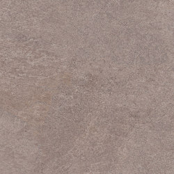 Star Road | Shadow |  | Marca Corona