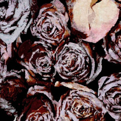 Collaborations (Select) | Wine and Roses | Rugs | Henzel Studio