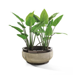 Godwin | Vasi piante | Longhi S.p.a.