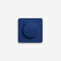 S-Color | Switch Blue |  | Gira