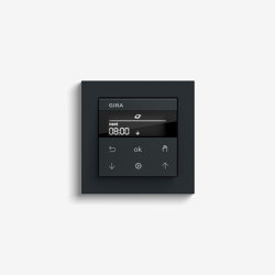 Blind Control | System 3000 Display blind timer | Anthracite (including E2) |  | Gira