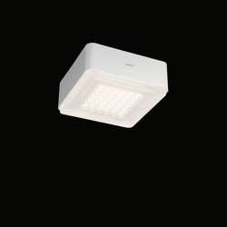Modul Q 36 Frame | Lámparas de techo | Nimbus