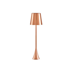Pascal Mourgue | Bedside Lamp Copper | Free-standing lights | Ligne Roset