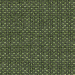 Maya | 034 | 9703 | 07 | Upholstery fabrics | Fidivi