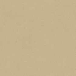 Isafe 70 | Colours - Sabbia Mocassin Beige 538 | Vinyl flooring | IVC Commercial