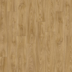Moduleo 55 Impressive | Laurel Oak 51262 | Colour brown | IVC Commercial