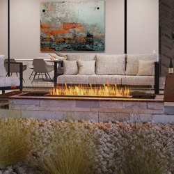 Flex 68BN | Fireplace inserts | EcoSmart Fire