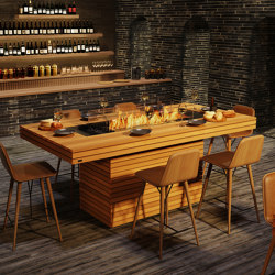 Gin 90 (Bar) | Ventless fires | EcoSmart Fire