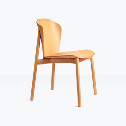 Finn All Wood | Chairs | SCAB Design