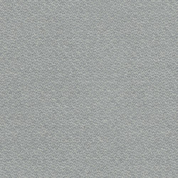 Achilles MD329A18 | Upholstery fabrics | Backhausen