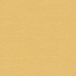 Indianapolis MC805G01 | Upholstery fabrics | Backhausen